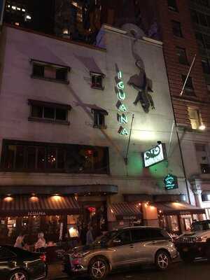 Iguana New York