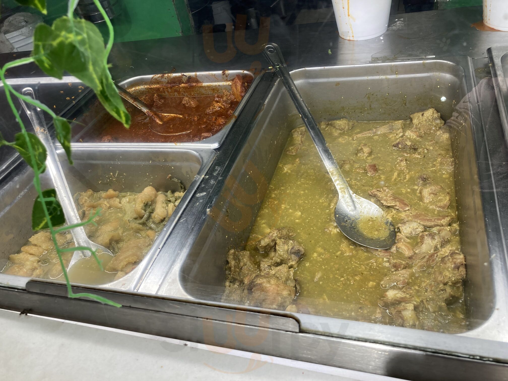 Tariacuri Restaurant One