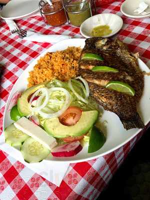 Pizza And Taqueria Tex Mex