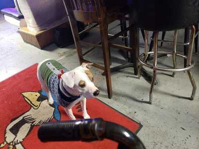 Charlie's White Crow Tavern