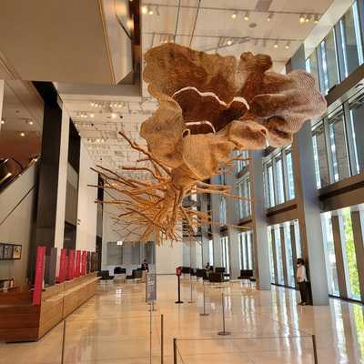 Cherry Street Museum