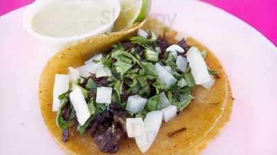 Cesar Tacos Y Gorditas