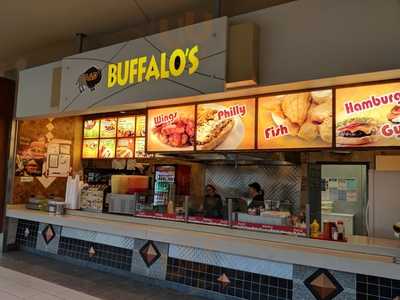 A And D Buffalos