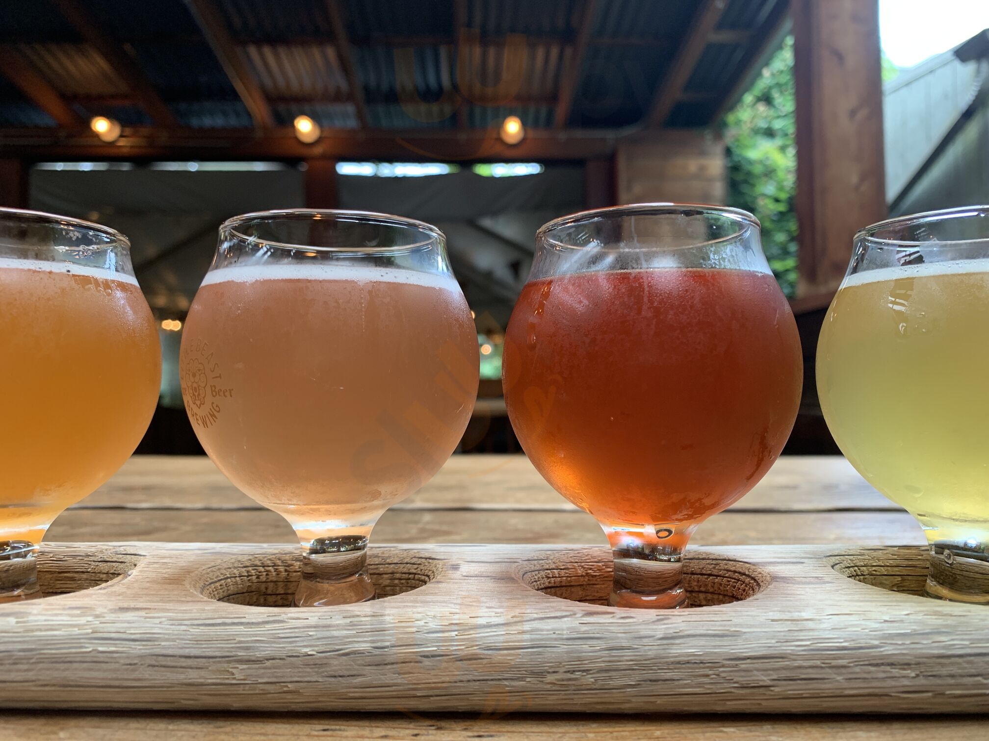 Little Beast Brewing