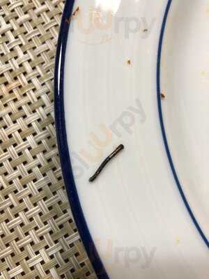 Roots Handmade Pizza