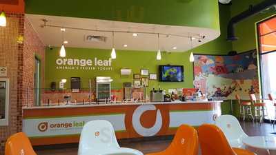 Orange Leaf At The Rim