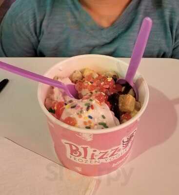 Blizz Frozen Yogurt