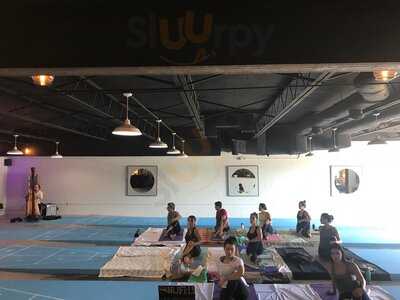 Shuffle: The Heights Shuffleboard Society