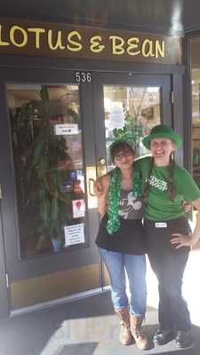 Lotus & Bean