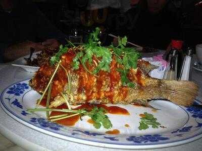 Panda Chinese Restaurant