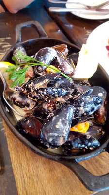 Einstein Bros. Bagels