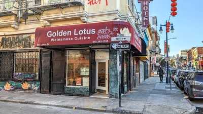 Golden Lotus