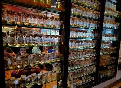 Campagna Salumi Bar And Pizzeria