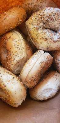 The Bagel Hut