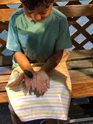 Pacific Science Center Cafe