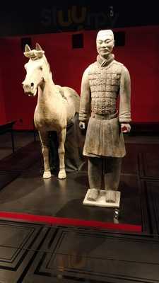 Pacific Science Center Cafe