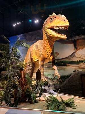 Pacific Science Center Cafe