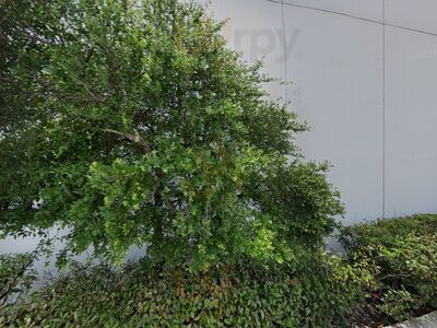 Marble Slab Creamery