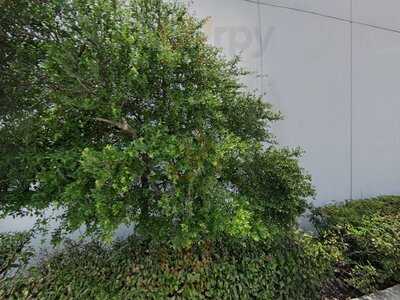 Marble Slab Creamery