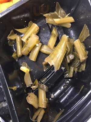 Sisters Of The New South