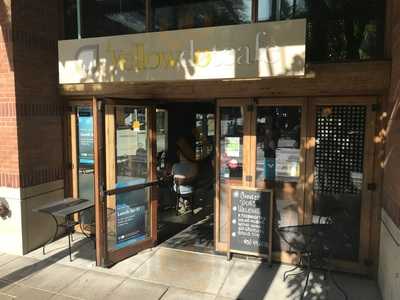 Yellow Dot Cafe