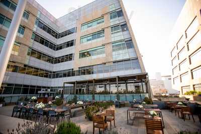 Stem Kitchen And Garden