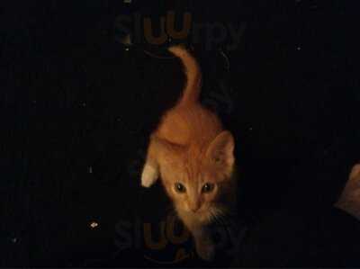 Menchie's Charleston Commons