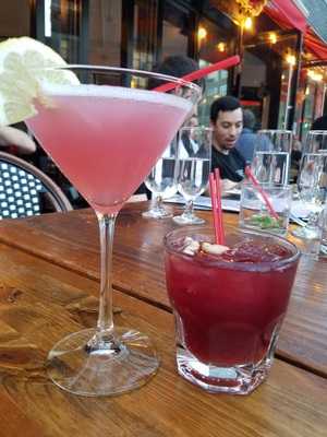 Gallo Nero Wine Bar And Grill