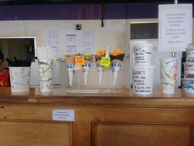 Boston Ice Cream Factory