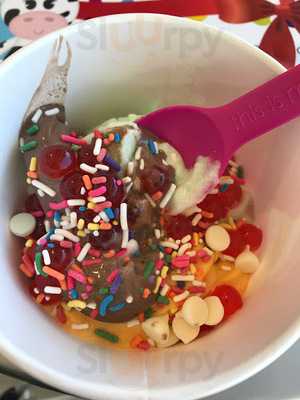 Menchie's Frozen Yogurt