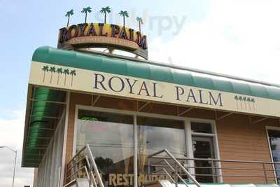 Royal Palm