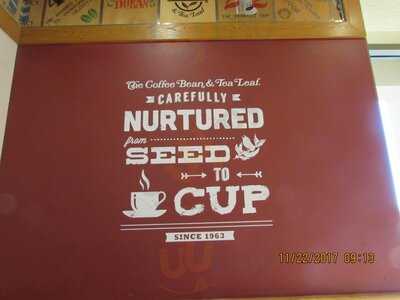 The Coffee Bean & Tea Leaf