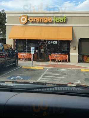 Orange Leaf Bandera
