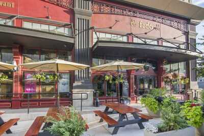 Tin Can Tapas And Oysters