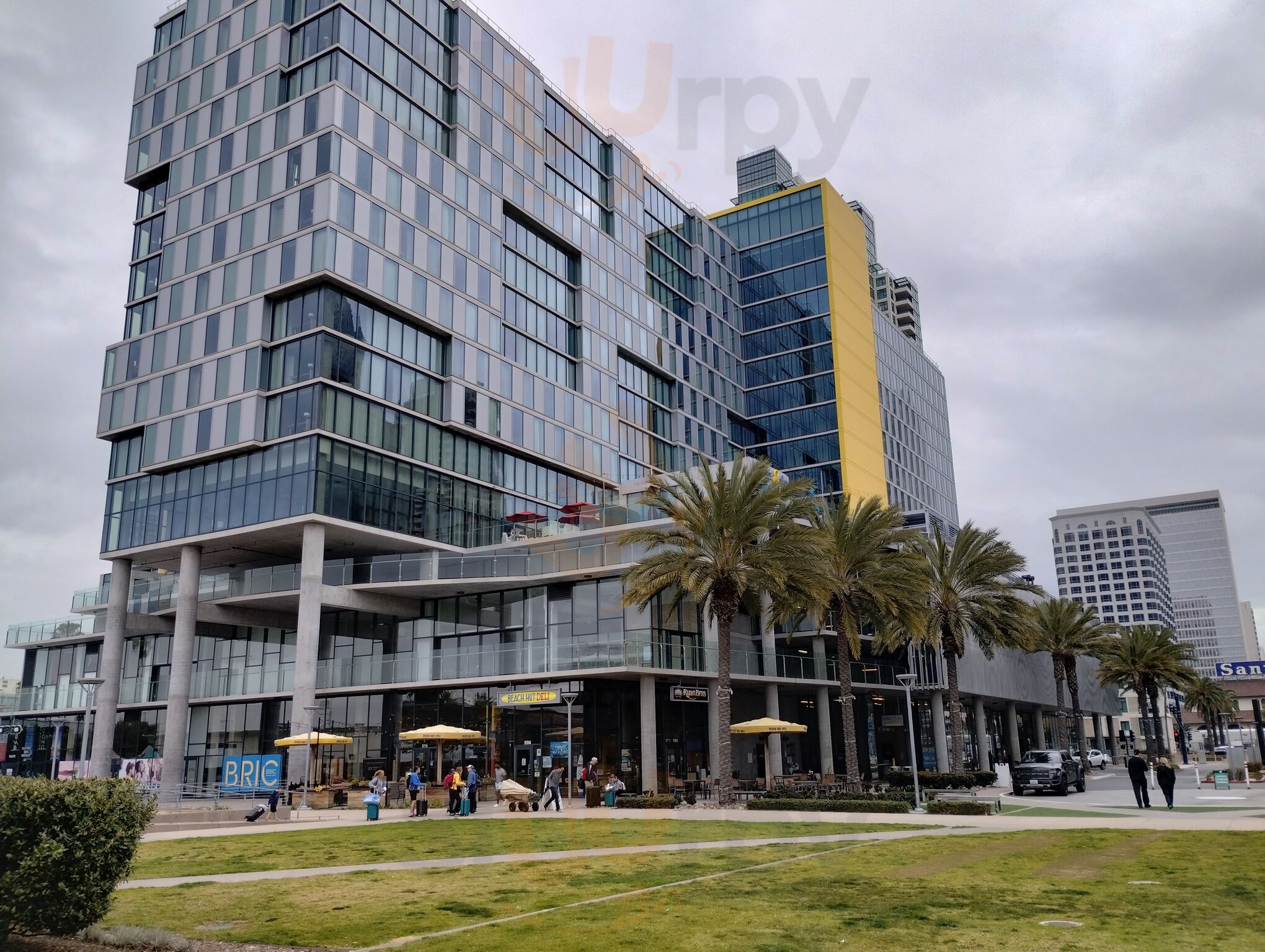 Ryan Bros Coffee Lane Field