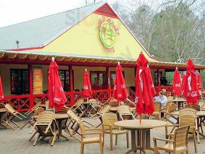 Wild Planet Cafe
