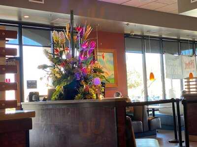 The Habit Burger Grill