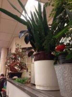 Washington Bakery & Restaurant