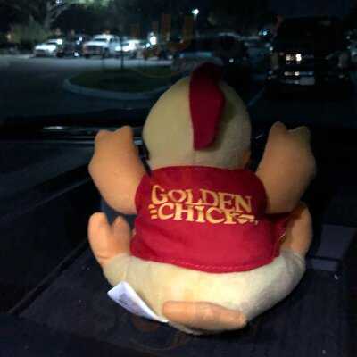 Golden Chick