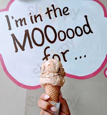 Moosie's Ice Cream