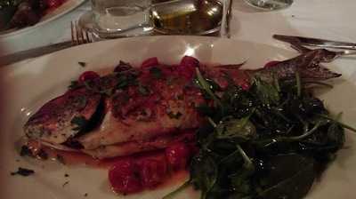 Pulcinella Mozzarella Bar