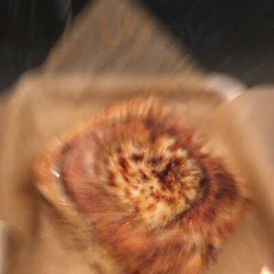 Las Vegas Donut House