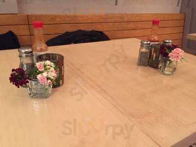 The Little Chihuahua