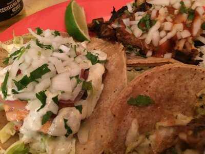 The Little Chihuahua