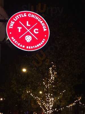 The Little Chihuahua