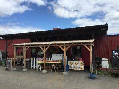 The Patio Cafe At The Pumpkin Patch