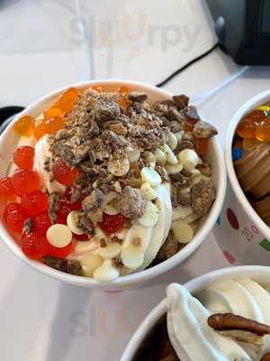 Fresh Cup Frozen Yogurt