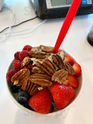 Fresh Cup Frozen Yogurt