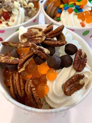 Fresh Cup Frozen Yogurt