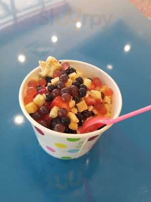 Fresh Cup Frozen Yogurt
